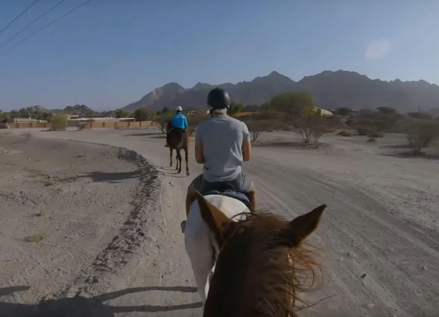 Horseback Riding Equestrian Tracks in Hatta